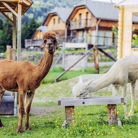 Alpenchalet Alpakablick Sankt Lorenzen ob Murau Eksteriør billede